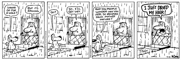 citizendog